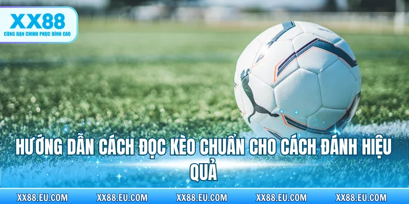 Hướng dẫn cách đọc kèo chuẩn cho cách đánh hiệu quả